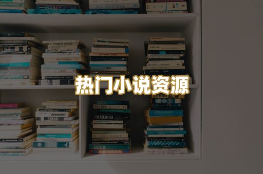 热门小说资源